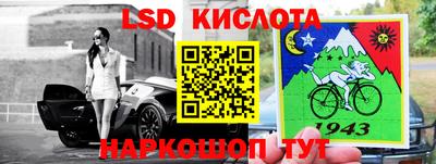 прущие крисы Владимир